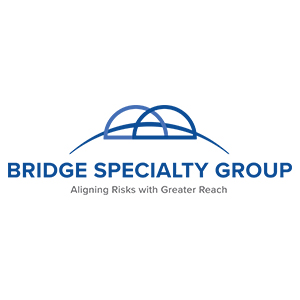 Bridge Specialty Group Bridge Specialty Group
