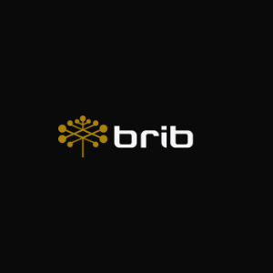 BRIB - Top Reinsurance Companies in LATAM BRIB
